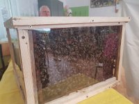 IMG-20180612-WA0001