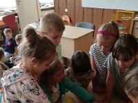 IMG-20180611-WA0004